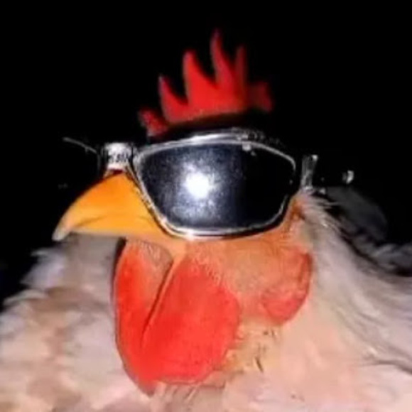 Meet your Posher, Varnessa - Picture 1 of 1